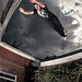 Sam Parham Photo 14