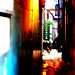 Rose Alley Photo 7