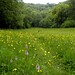 Jack Meadows Photo 22