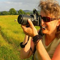 Ann Gamache Photo 4