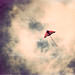 Leonardo Lopez Photo 45