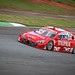 David Stock Photo 20