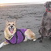 Jerry Shepherd Photo 32