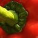 David Peper Photo 4