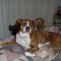 Vickie Corley Photo 12