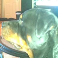 Richard Dowd Photo 23