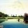 Edward Klein Photo 34