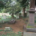 Nicholas Graves Photo 31