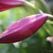 Bruce Currie Photo 17