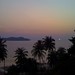 Long Su Photo 15