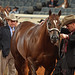 Randy Jacobs Photo 20