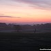 Dawn Bass Photo 13