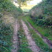 Devon Green Photo 28