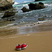 Taylor Ard Photo 8