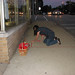 Irene Rhoades Photo 8
