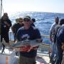 Robert Strader Photo 29