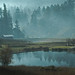 Laurie Burns Photo 16