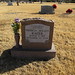 Sue Holley Photo 22