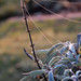 Heidi Frost Photo 19