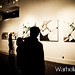 Shaun Lucas Photo 6