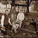 Chris Blaisdell Photo 16