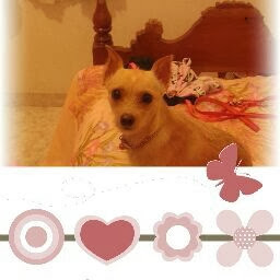 Elizabeth Restrepo Photo 31
