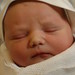 Alexander Taylor Photo 13