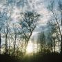 Theresa Murphy Photo 19