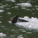 Tracey Seal Photo 18