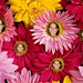 Leila Flowers Photo 7