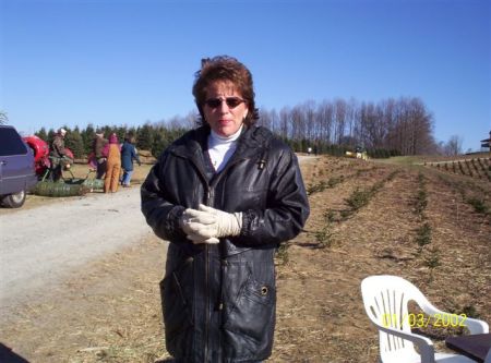 Linda Windham Photo 15