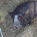 Cheryl Childers Photo 16