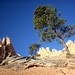 Bryce Stone Photo 17
