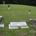 Ervin Webb Photo 10