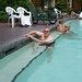 Dennis Harrison Photo 20