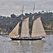 Lawrence Cutter Photo 10