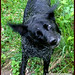 Julie Shook Photo 11