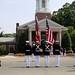 Carole Myer Photo 11
