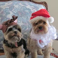 Judi Larson Photo 21