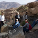 Mona Habib Photo 6