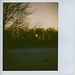 Vicki Woods Photo 9