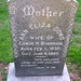 Ann Wilcox Photo 18