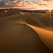 Kevin Pieper Photo 7