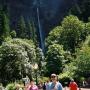 Ronald Land Photo 17