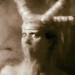 Donald Green Photo 54