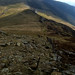 Dale Robinson Photo 10