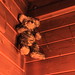 Wendy Meadows Photo 6