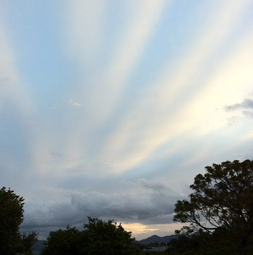 James Stern Photo 34
