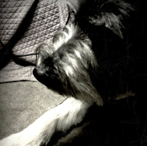 Amy Lashley Photo 8