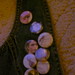 Patrick Button Photo 6